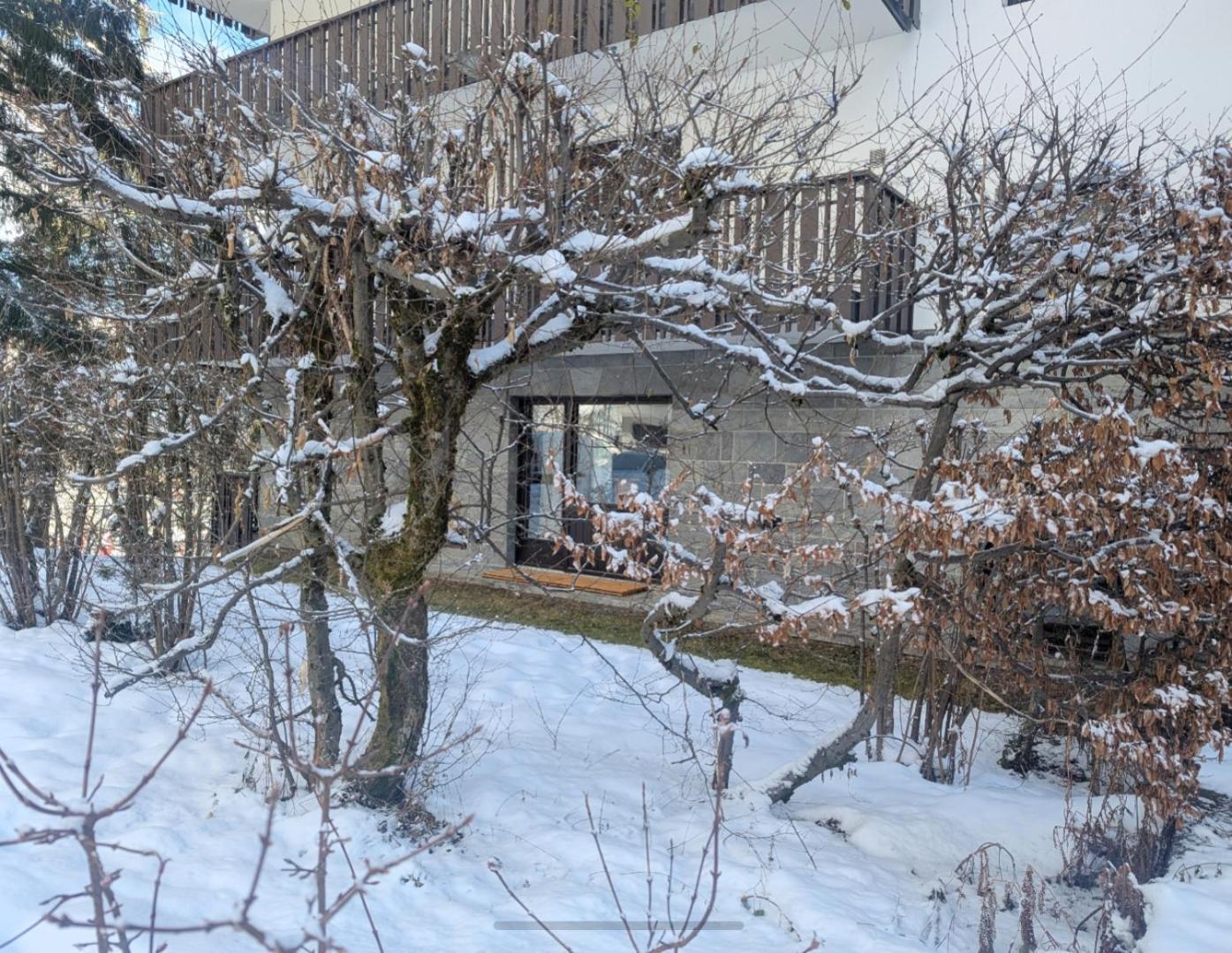 Au Petit Bois Lägenhet Chamonix Exteriör bild
